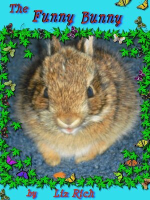 cover image of The Funny Bunny